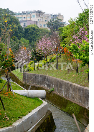 2025年6月11日，台灣鶯歌：愛人所寫，風景優美的公園，短暫的散步，一叢開花的灌木， 127530792