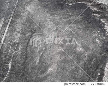 Landscape of Nazca 127530882