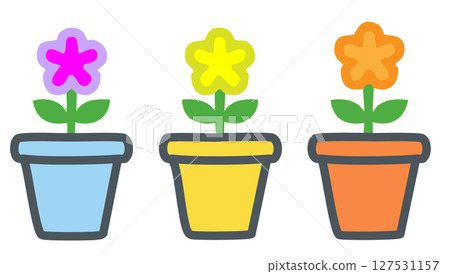 盆中盛開的花 127531157