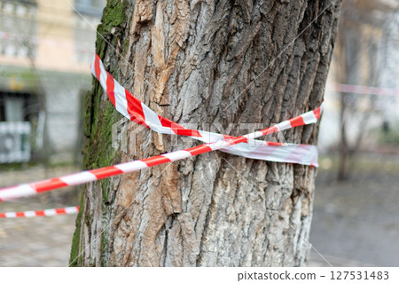 Close-up of a tree trunk with red and white caution tape wrapped around, situated outdoors in an urban setting, symbolizing warning or restricted area, conveying vigilance and safety measures. 127531483