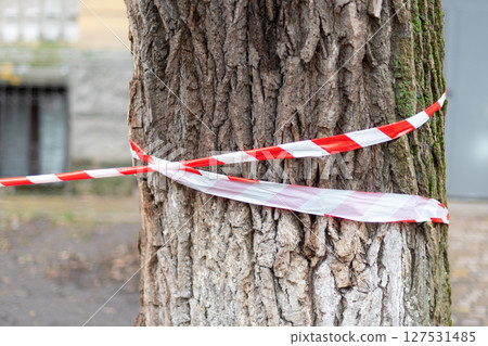 A close-up view of red and white striped caution tape wrapped around a tree trunk. The image captures the textured bark and provides an urban setting with a focus on restriction and safety. A close-up view of red and white striped caution tape wrapped around a tree trunk. The image captures the textured bark and provides an urban setting with a focus on restriction and safety. 127531485
