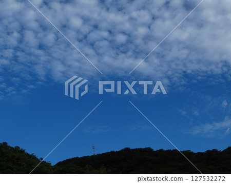 Summer in Yanbaru, Kunigami Village, Okinawa Prefecture 127532272