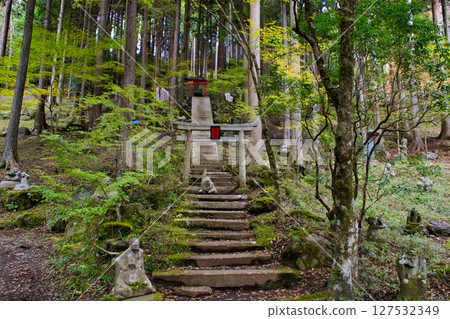 [Hakone, Kanagawa Prefecture] Choanji Temple and Toyokawa Inari Shrine in Autumn 127532349