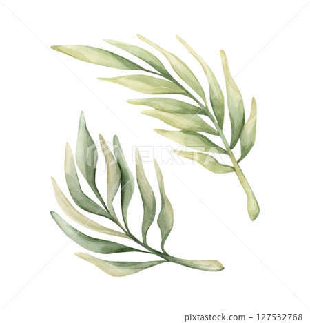 Palm Tropical Leaves. Exotic African jungle rainforest green plant. Watercolor hand painted summer floral isolated illustration on white background cute kids nursery design poster baby shower card 127532768