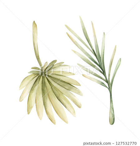Palm Tropical Leaves. Exotic African jungle rainforest green plant. Watercolor hand painted summer floral isolated illustration on white background cute kids nursery design poster baby shower card Palm Tropical Leaves. Exotic African jungle rainforest green plant. Watercolor hand painted summer floral isolated illustration on white background cute kids nursery design poster baby shower card 127532770