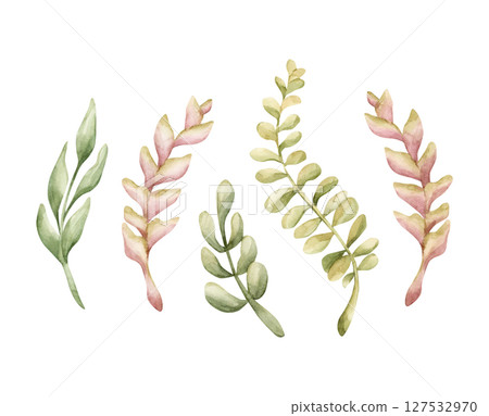 Leaf Branches Heliconia. Little green twigs. Tropical Exotic African jungle plants. Watercolor hand painted summer floral isolated illustration on white background cute kids nursery poster baby shower 127532970