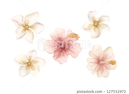 Plumeria Hibiscus Tropical Exotic Pink Flowers. African jungle rainforest plant. Watercolor hand painted summer floral isolated illustration on white background cute kids nursery design poster baby 127532972