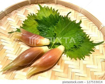 夏季香料蔬菜：茗荷和紫蘇葉 2 127533014