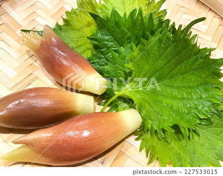 Summer season spice vegetables: myoga and shiso leaves 3 127533015