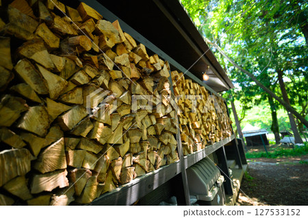 Image of summer outdoor 127533152