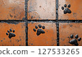 muddy paw prints across tiled floor. 127533265