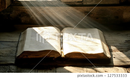 Open journal and pen, sunlight streaming across the page. 127533333