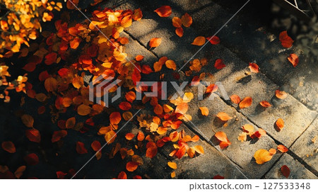 scattered autumn leaves on a park bench. 127533348