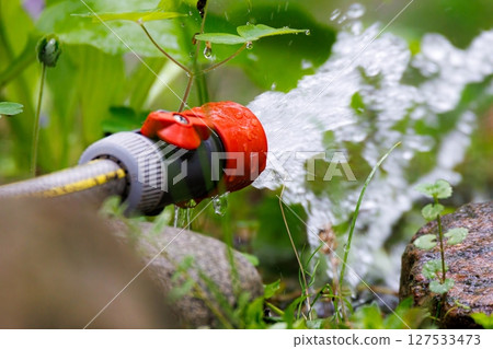 Water flows from a garden hose creating droplets amidst lush green plants on a sunny afternoon Water flows from a garden hose creating droplets amidst lush green plants on a sunny afternoon 127533473