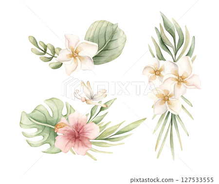 Tropical Hibiscus Plumeria Monstera Palm leaves arrangements set. Exotic African jungle flowers plants Watercolor hand painted summer floral isolated illustration on white background cute nursery baby 127533555