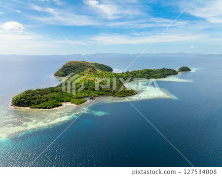 Corals with turquoise sea water. Dimanglet Island with green forest and jungle. Coron, Palawan. Philippines. Corals with turquoise sea water. Dimanglet Island with green forest and jungle. Coron, Palawan. Philippines. 127534008