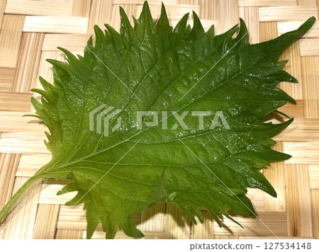 Summer season vegetable perilla leaves 1 127534148