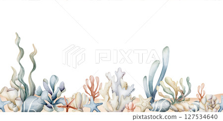 Seaweeds Sea Coral Sponge Starfish Shell on sand. Watercolor hand painted summer seamless border on white background Cute pastel neutral underwater for kids baby nursery textile fabric, wrapping paper 127534640