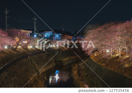 Scenery of the Kakegawa cherry blossoms around Kakegawa Castle in Kakegawa City (Shizuoka Prefecture) Scenery of the Kakegawa cherry blossoms around Kakegawa Castle in Kakegawa City (Shizuoka Prefecture) 127535438