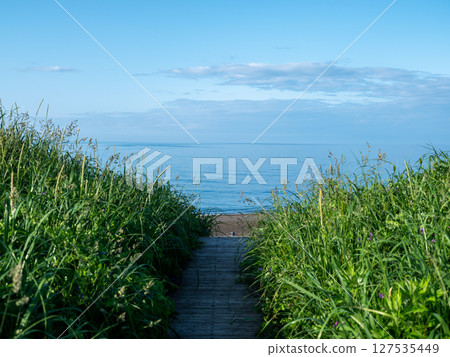 Road leading to the sea 127535449