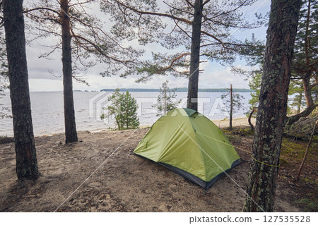 Tourist tent in a pine forest on the shore of a lake 127535528