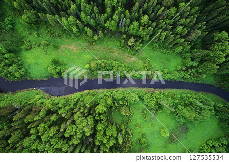 Top view of river and meadow in green forest Top view of river and meadow in green forest 127535534