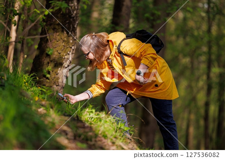 Exploring natures hidden gems in a vibrant forest during a sunny spring day 127536082