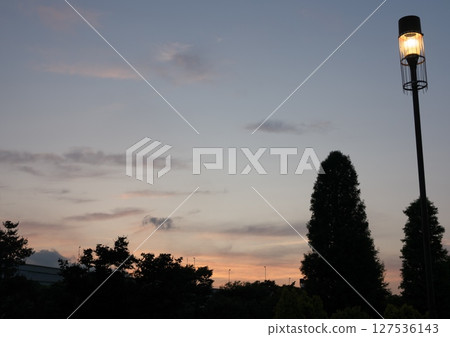 辰巳之森海濱公園的日落 127536143