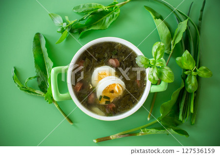 Top view of a plate of green borscht with egg and sorrel on a green background 127536159