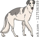 Borzoi color transparent background dog illustration 127536389