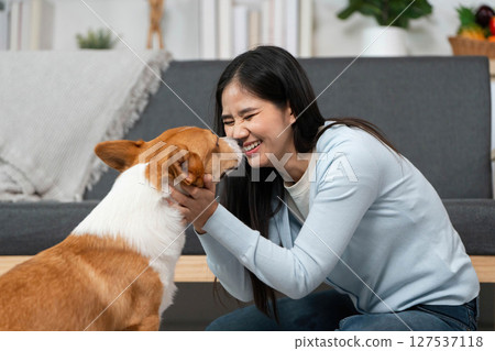 Joyful Interaction with Dog. A woman playfully engages with her corgi at home. 127537118