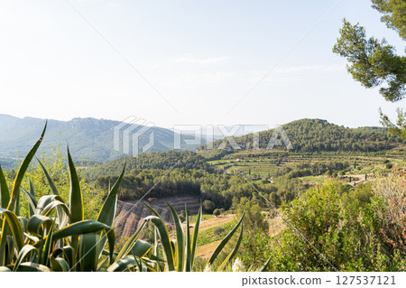 Picturesque view of rolling hills and vibrant greenery in the scenic landscape Picturesque view of rolling hills and vibrant greenery in the scenic landscape 127537121