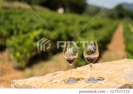 Vineyard with two glasses of wine in lush scenery for tranquil experience Vineyard with two glasses of wine in lush scenery for tranquil experience 127537155