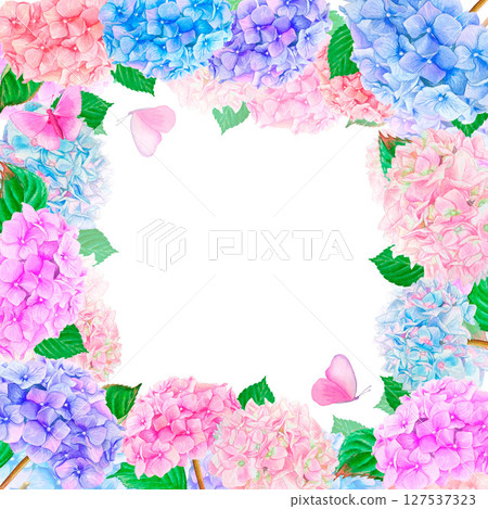 Floral square frame with watercolor drawn blue, pink and purple hydrangea flowers, with leaves and pink butterflies isolated on a white background. Floral square frame with watercolor drawn blue, pink and purple hydrangea flowers, with leaves and pink butterflies isolated on a white background. 127537323