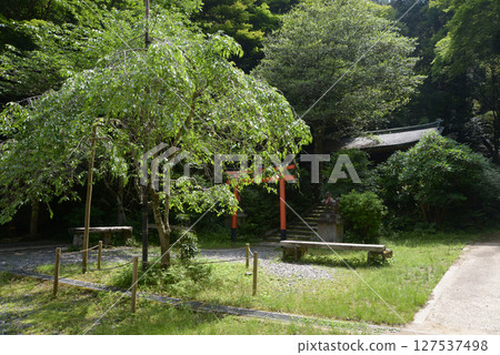 京都市山科區日向岡日向大社入口處的神田稻荷神社 京都市山科區日向岡日向大社入口處的神田稻荷神社 127537498