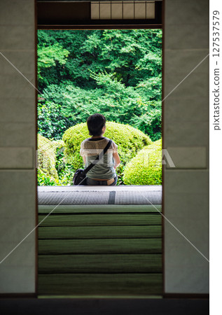 I look at the garden 127537579