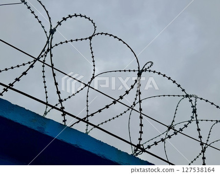 metal wire, fence on the background of the sky. High quality photo metal wire, fence on the background of the sky. High quality photo 127538164