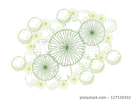 architecture drawing plant tree top view plan greenery vegetation vector. design nature architectural landscape set element illustration bush garden flora sapling minimal. architect isolated. architecture drawing plant tree top view plan greenery vegetation vector. design nature architectural landscape set element illustration bush garden flora sapling minimal. architect isolated. 127538302