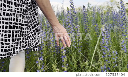 Female hand tenderly touching purple flowers at field. Woman moving her arm above blooming plants. Young girl strolling through floral meadow. Beautiful nature background. Close up 127538404