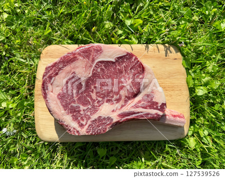 raw bio steak with bone 127539526