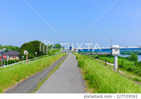 千葉縣我孫子市利根川自行車道 2025年6月 千葉縣我孫子市利根川自行車道 2025年6月 127539581