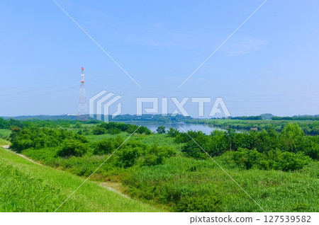 千葉縣我孫子市利根川自行車道 2025年6月 127539582