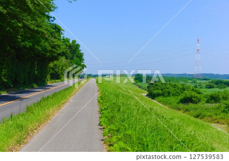 千葉縣我孫子市利根川自行車道 2025年6月 127539583