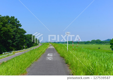 千葉縣我孫子市利根川自行車道 2025年6月 千葉縣我孫子市利根川自行車道 2025年6月 127539587
