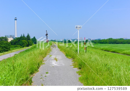 千葉縣我孫子市利根川自行車道 2025年6月 千葉縣我孫子市利根川自行車道 2025年6月 127539589
