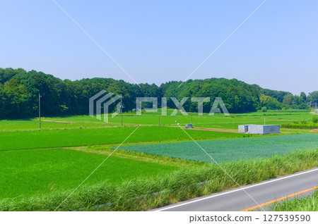 千葉縣我孫子市利根川自行車道 2025年6月 千葉縣我孫子市利根川自行車道 2025年6月 127539590