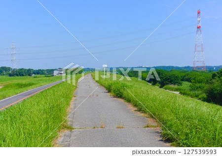 Tone River Cycling Road, Abiko City, Chiba Prefecture, June 2025 127539593