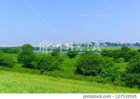 千葉縣我孫子市利根川自行車道 2025年6月 127539595
