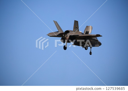 Hovering Stress Fighter 127539685