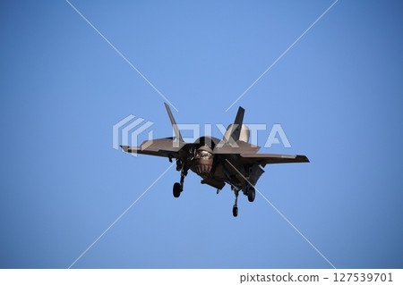 Hovering Stress Fighter 127539701